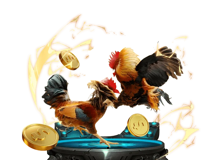 Công bằng và minh bạch tại dd7 dev